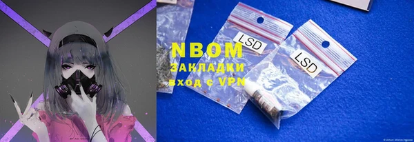 стаф Абаза