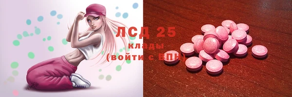 СК Абинск