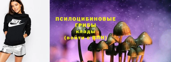 СК Абинск