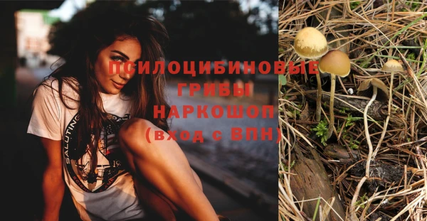 mdpv Нягань