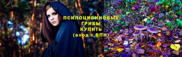 СК Абинск