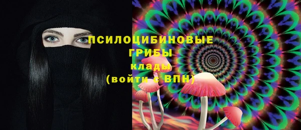 СК Абинск