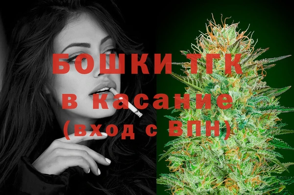стаф Абаза