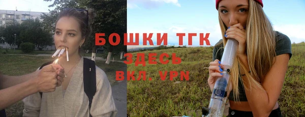 стаф Абаза