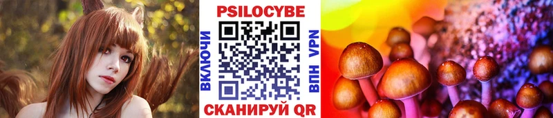 хочу   Сызрань  блэк спрут сайт  Галлюциногенные грибы мицелий 